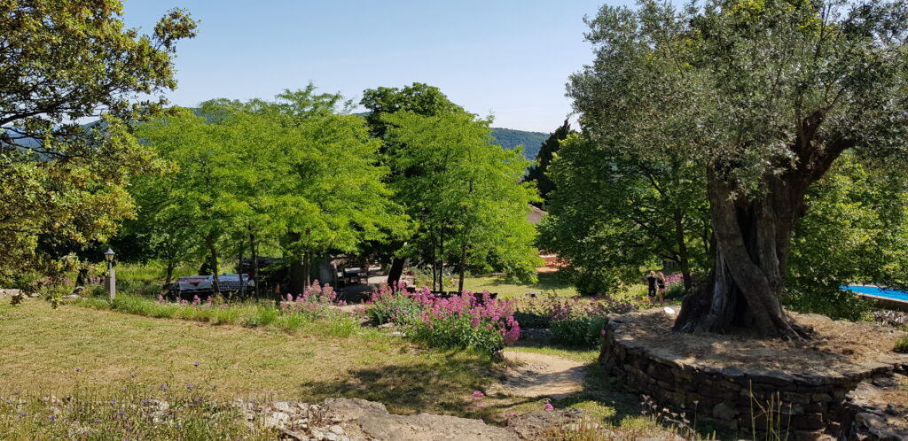 20190606_103757