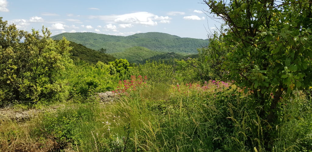 20190607_115033