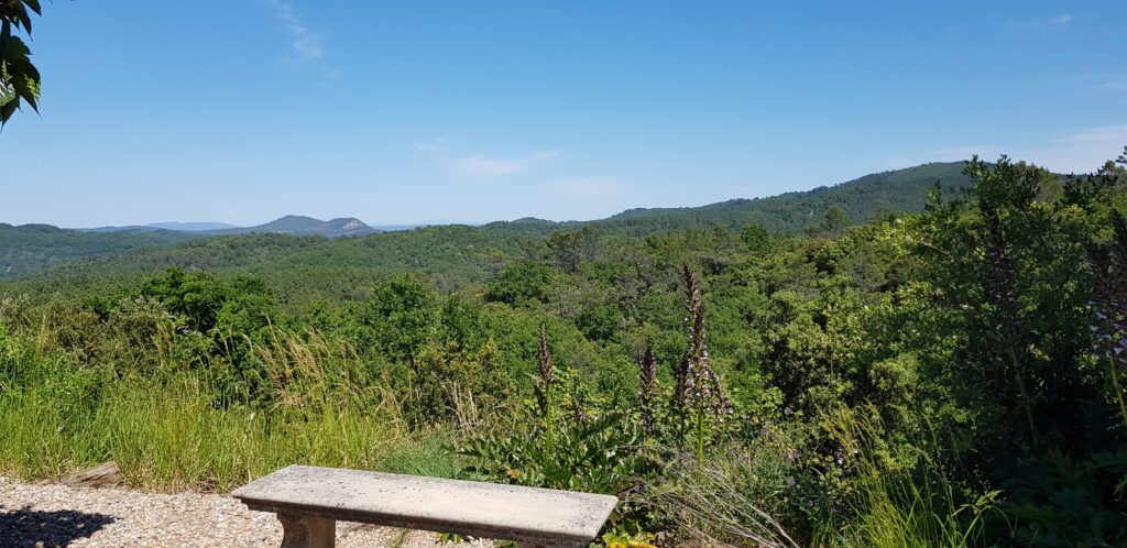 20190613_153759